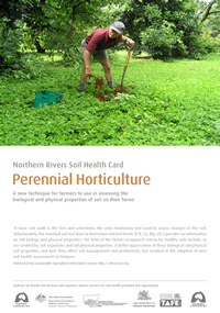 Perennial Horticulture